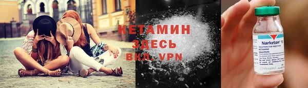 шишки Абаза