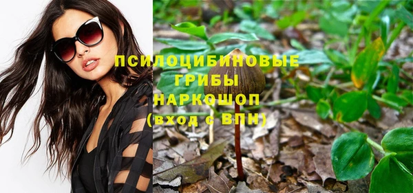 шишки Абаза