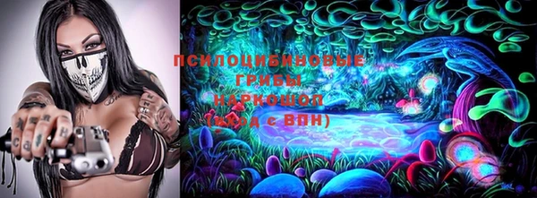 шишки Абаза