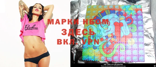 шишки Абаза