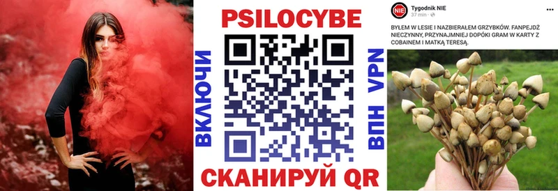 Галлюциногенные грибы MAGIC MUSHROOMS  Уварово 